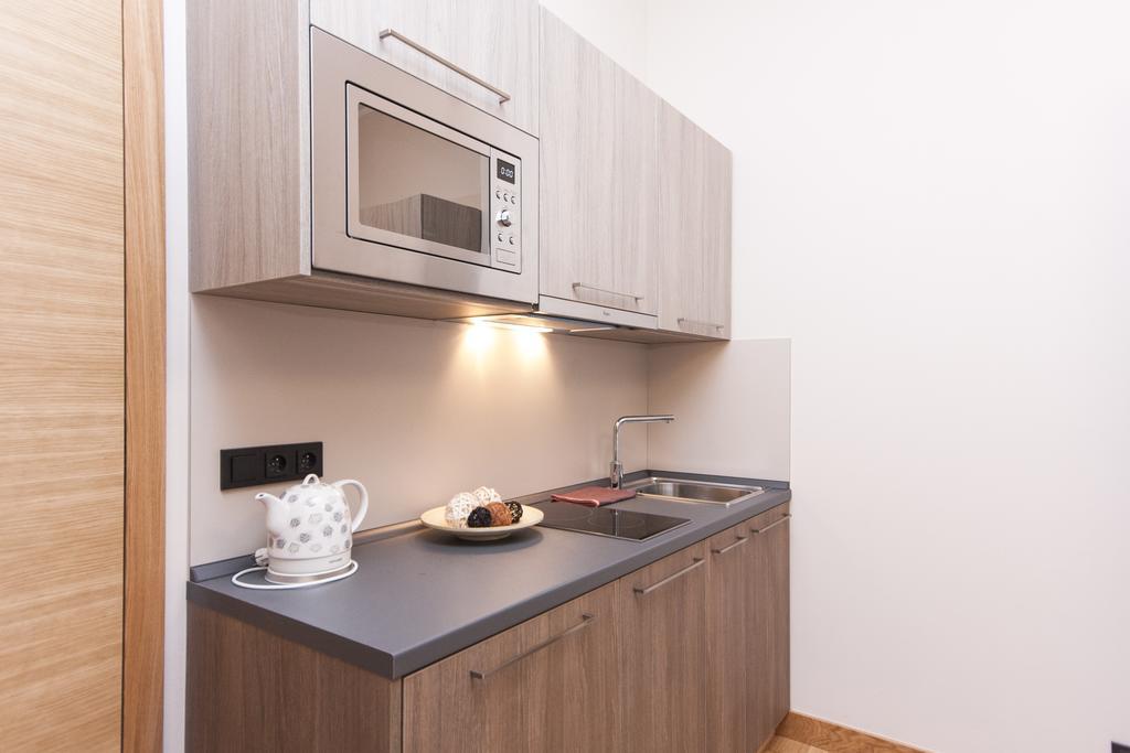 Manesova Astra Apartment プラハ 部屋 写真