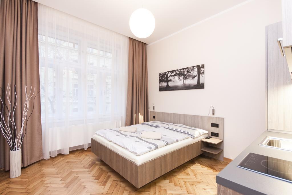 Manesova Astra Apartment プラハ 部屋 写真