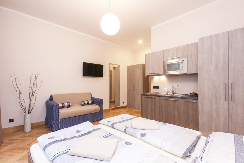 Manesova Astra Apartment プラハ 部屋 写真