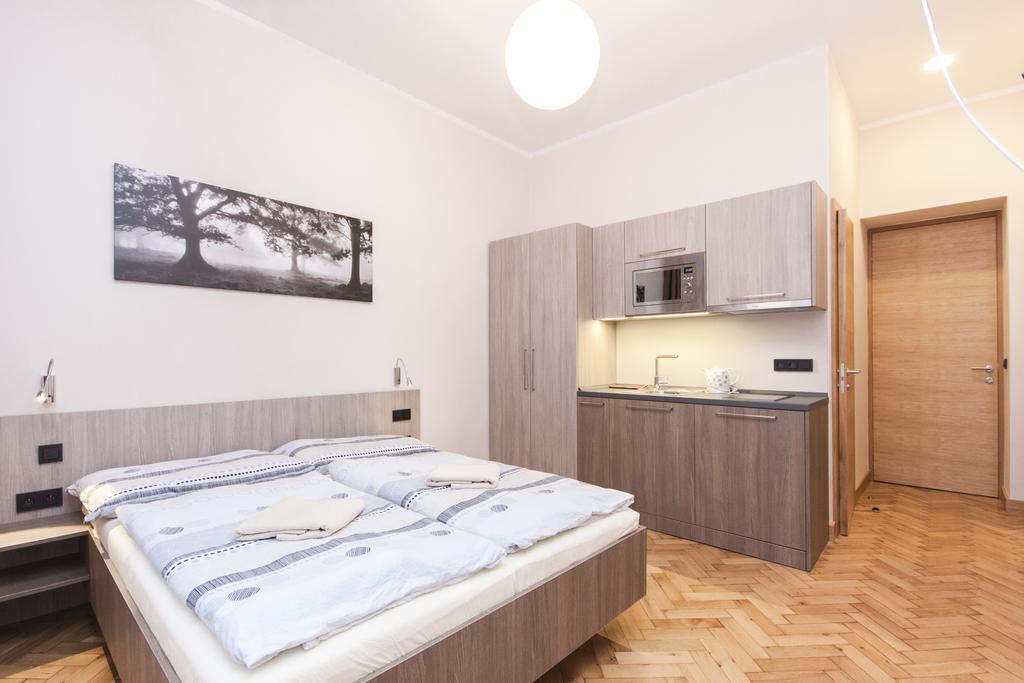 Manesova Astra Apartment プラハ 部屋 写真